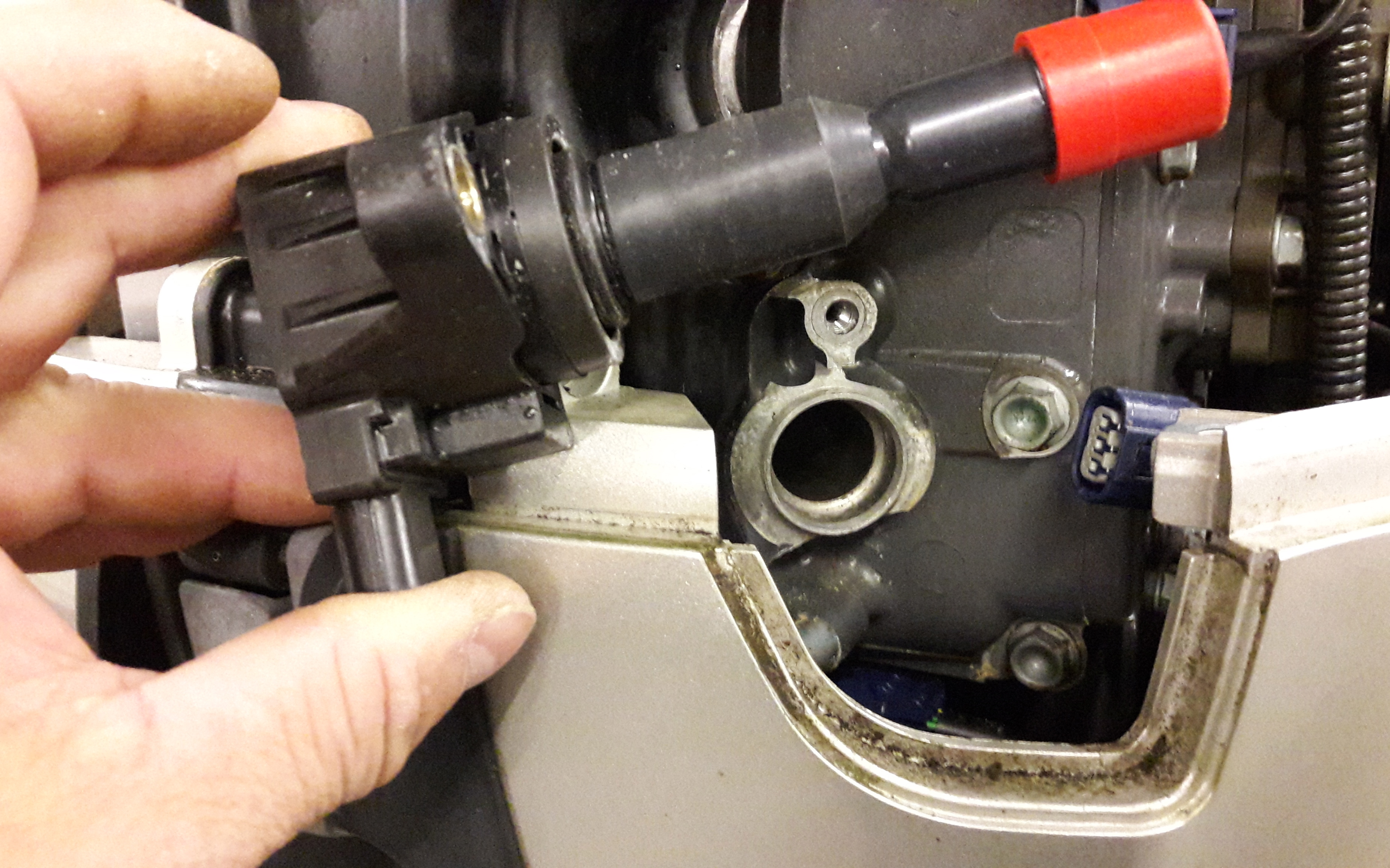 Servicing a 2008 Honda 90hp BF LRTU