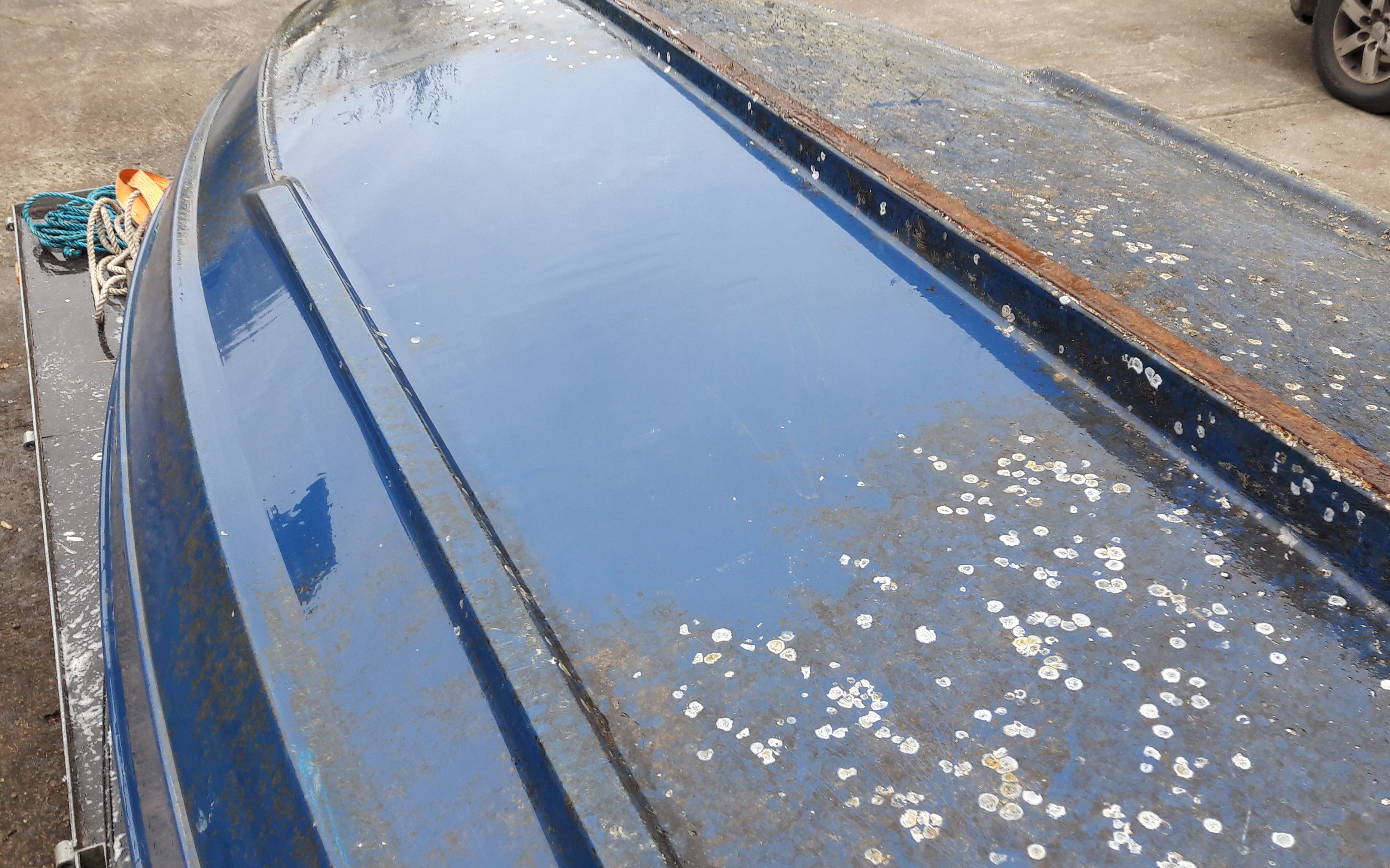 Starting to Clean a Blue Hulled Barnacle Covered Orkney 440